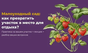 Изображение курса Малоуходный сад: как превратить участок в место для отдыха?