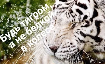 Изображение курса Марафон Исполнение желаний за 180 дней