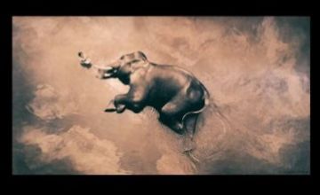 Изображение курса Минимализм в фотографии от А до Я