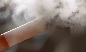 Изображение курса Мозг и зависимость