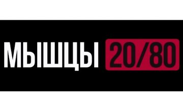 Изображение курса Мышы 20/80