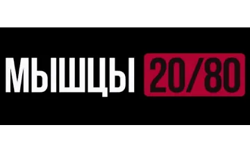 Изображение курса Мышы 20/80