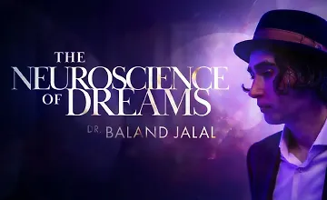 Изображение курса Нейронаука сновидений