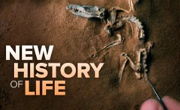 Изображение курса Новая история жизни