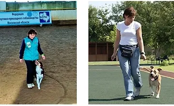 Изображение курса Онлайн-семинар "Моя послушная собака"