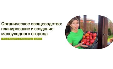 Изображение курса Органическое овощеводство: планирование и создание малоуходного огорода