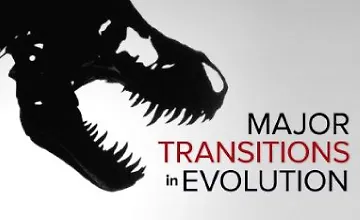 Изображение курса Основные этапы эволюции