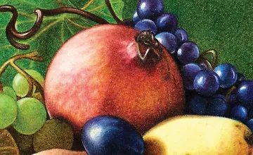 Изображение курса Основы рисования цветными карандашами