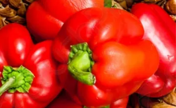 Изображение курса Перцы