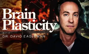 Изображение курса Пластичность мозга