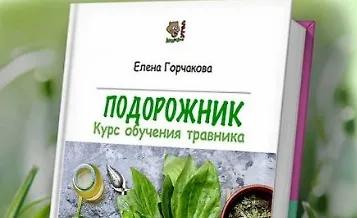 Изображение курса Подорожник