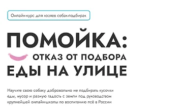 Изображение курса Помойка: Как отучить собаку подбирать еду на улице