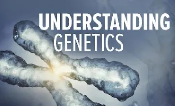 Изображение курса Понимание генетики: ДНК, гены и их практическое применение