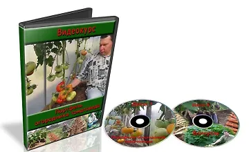 Изображение курса Портфель огородника томатоведа