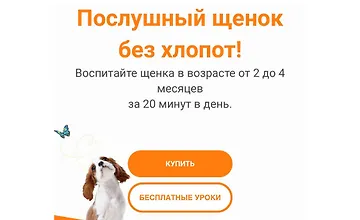 Изображение курса Послушный щенок без хлопот!