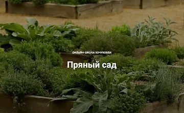 Изображение курса Пряный сад