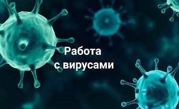 Изображение курса Работа с вирусами