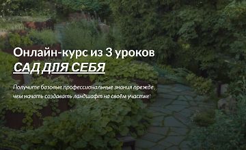 Изображение курса Сад для себя
