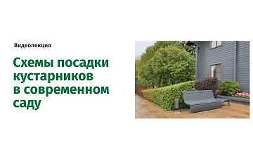 Изображение курса Схемы посадки кустарников в современном саду