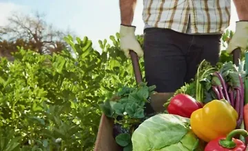 Изображение курса Школа больших урожаев