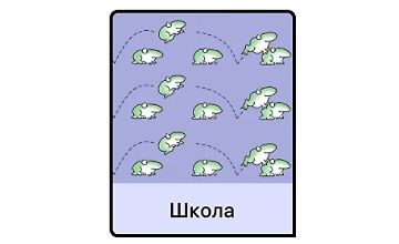 Изображение курса Школа