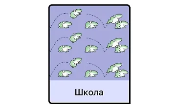 Изображение курса Школа