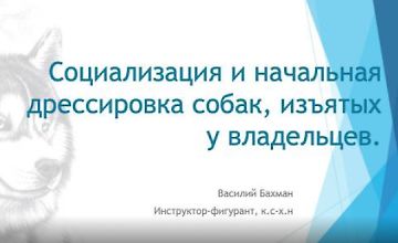 Социализация и начальная дрессировка собак, изъятых у владельцев logo