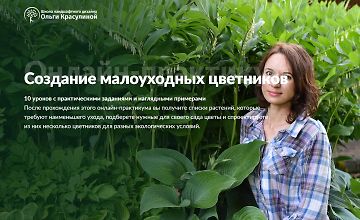 Изображение курса Создание малоуходных цветников