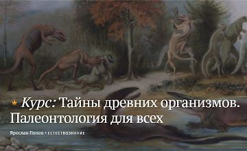 Изображение курса Тайны древних организмов. Палеонтология для всех