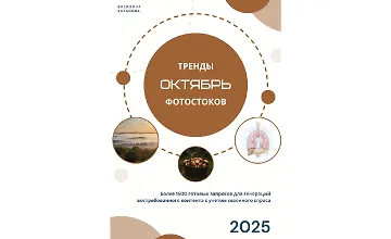 Изображение курса Тренды фотостоков (октябрь 2025) + Книга низкочастотных запросов - Экология + Зима