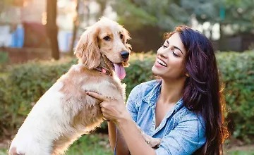 Изображение курса Тренировка собак 101