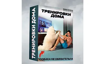 Изображение курса Тренировки дома без оборудования