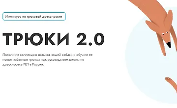 Изображение курса Трюки 2.0