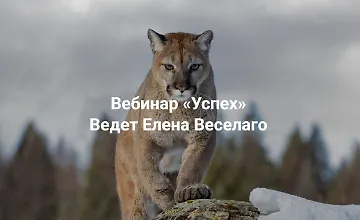 Изображение курса Успех