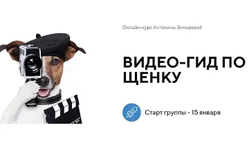 Изображение курса Видео-гид по щенку