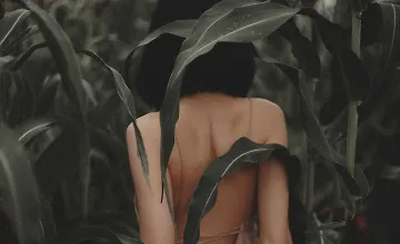 Изображение курса Видео-урок по цветокоррекции в Lightroom