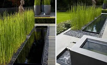 Изображение курса Вода в вашем саду: все, что нужно знать для создания искусственного источника