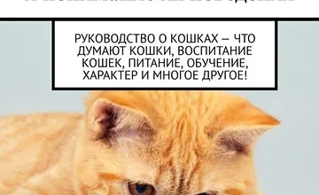Изображение курса Воспитание кошек и понимание их поведения. Руководство о кошках – что думают кошки, воспитание кошек, питание, обучение, характер и многое другое!