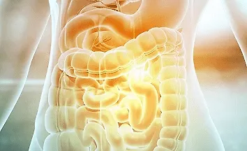 Изображение курса Восстановление желудочно-кишечного тракта