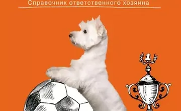 Изображение курса Все о дрессировке собак. Справочник ответственного хозяина