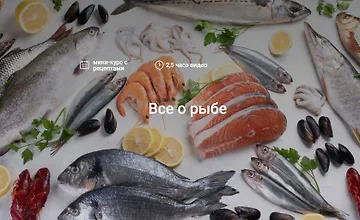 Изображение курса Все о рыбе