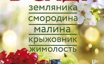 Изображение курса Ягоды в саду. Земляника, смородина, малина, крыжовник, жимолость