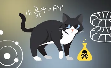 Изображение курса Законы квантовой механики: просто о сложном