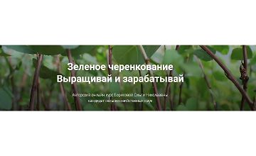 Изображение курса Зеленое черенкование. Выращивай и зарабатывай