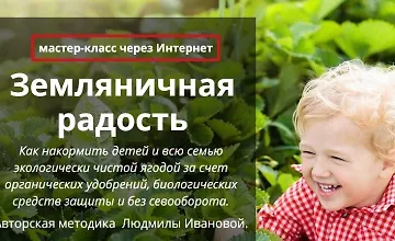 Изображение курса Земляничная радость