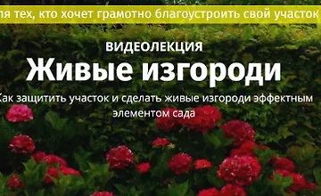Изображение курса Живые изгороди. Где посадить, из чего сделать