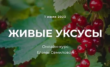 Изображение курса Живые уксусы