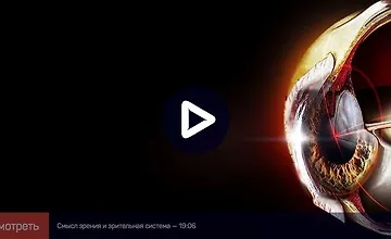 Изображение курса Зрительное восприятие: от физиологии к образу