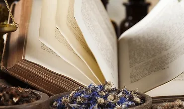 Изображение курса 100 главных трав Руси