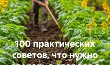 Изображение курса 100 практических советов, что нужно сделать в огороде в начале весны